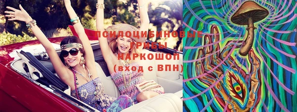 соль ск Няндома