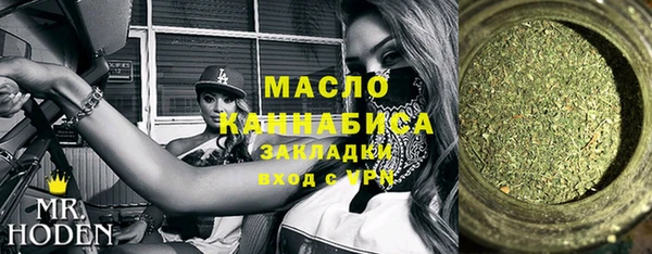 соль ск Няндома