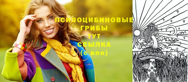стаф Нязепетровск