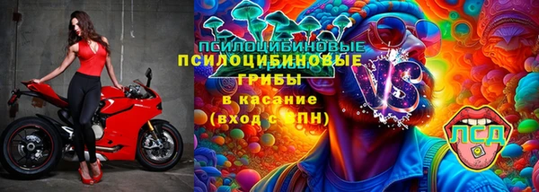 соль ск Няндома