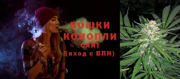 соль ск Няндома