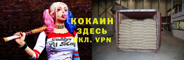 соль ск Няндома