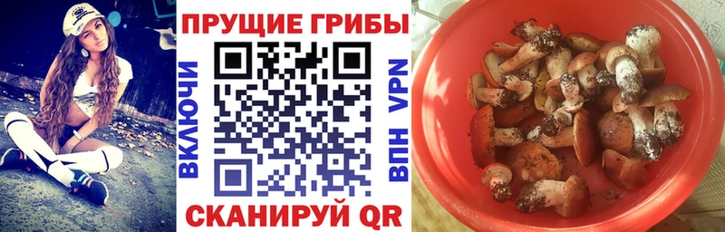 где найти   Нестеров  Псилоцибиновые грибы прущие грибы 