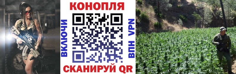Марихуана конопля  Нестеров 